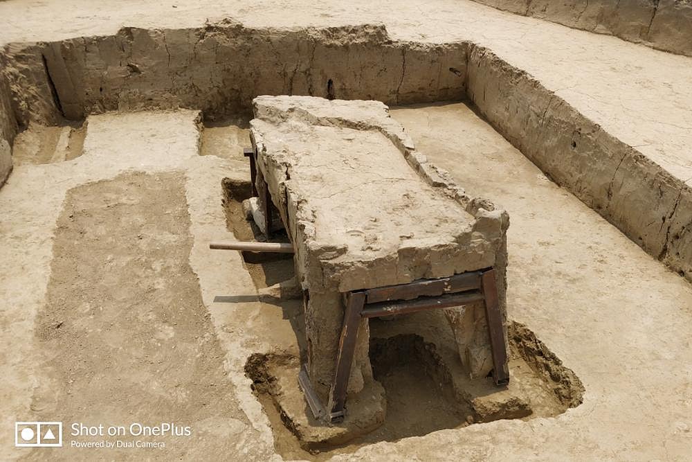 ASI-Excavated Sanauli Chariots Have Potential To Challenge Aryan Invasion Theory - null