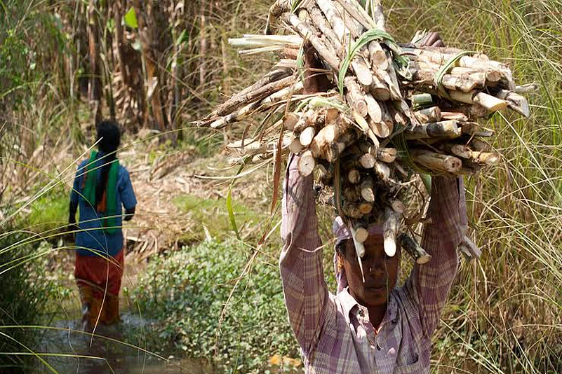 Karnataka CM Announces ₹3,300 Per Tonne Procurement Price For Sugarcane Amid Farmers’ Protest