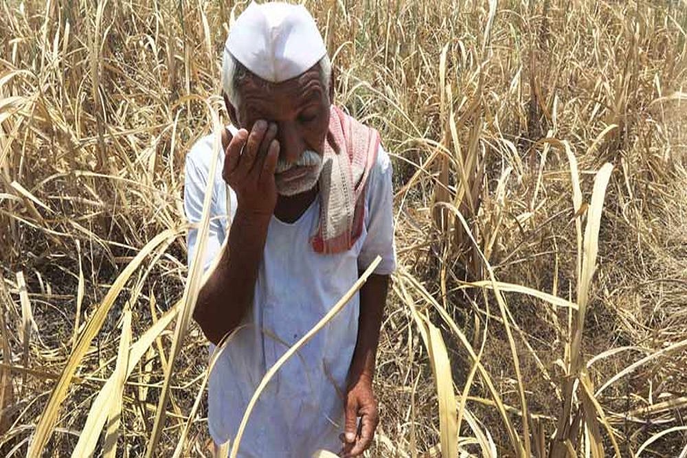 Why There Is A Rise In Farm Labour Suicides