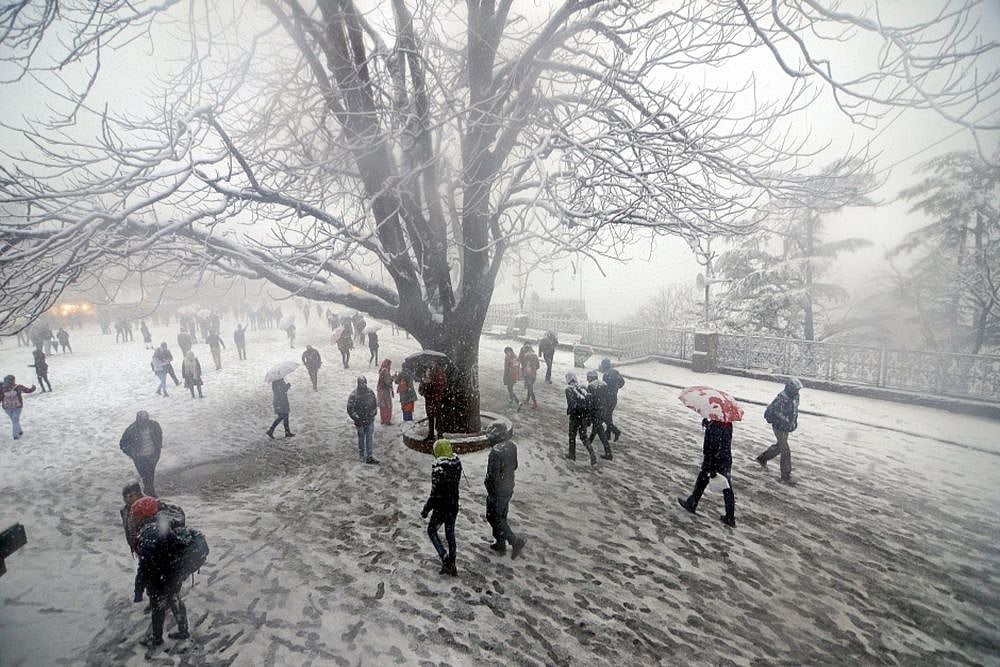 HP: Rains, Icy Winds Lash Shimla, Adjoining Regions; MeT Dept Issues Yellow Warning