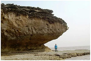 Signatures Of Past Climate Change Found On West Coast