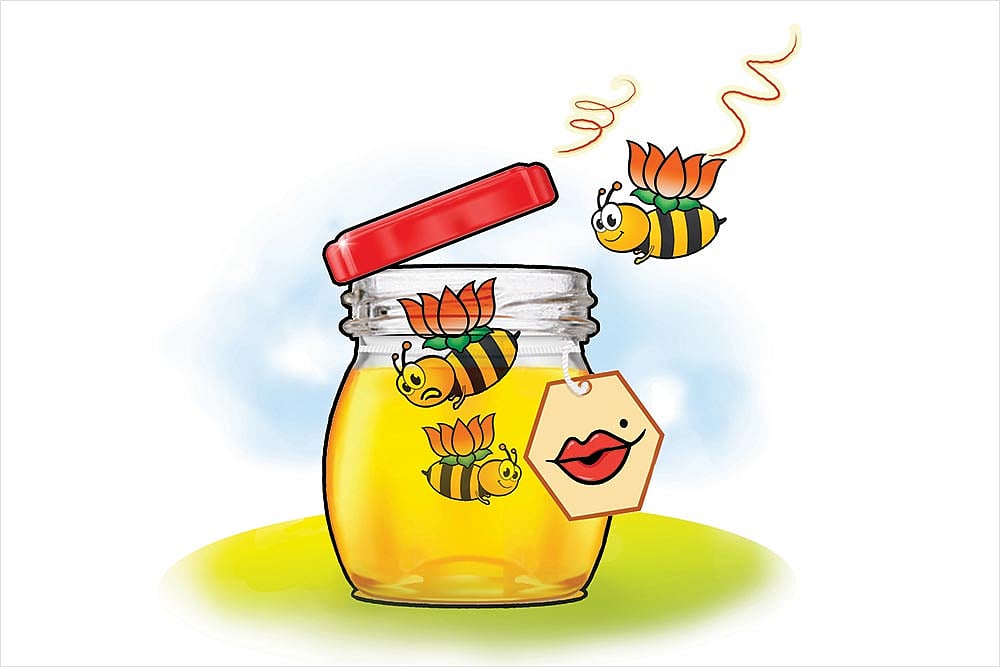 Yo Yo Honey Sting