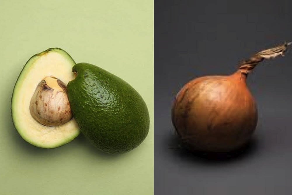Avocados Or Onions?