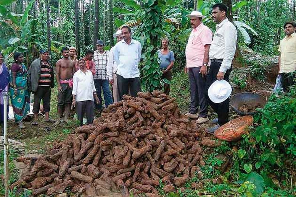 WATCH: Tipu Sultan's Unexploded 18th Century Rockets Discovered In Karnataka
