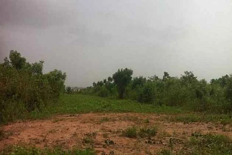 Pune Govt Land Sold Illegally for ₹33 Crore; Officer Suspended, Probe Begins