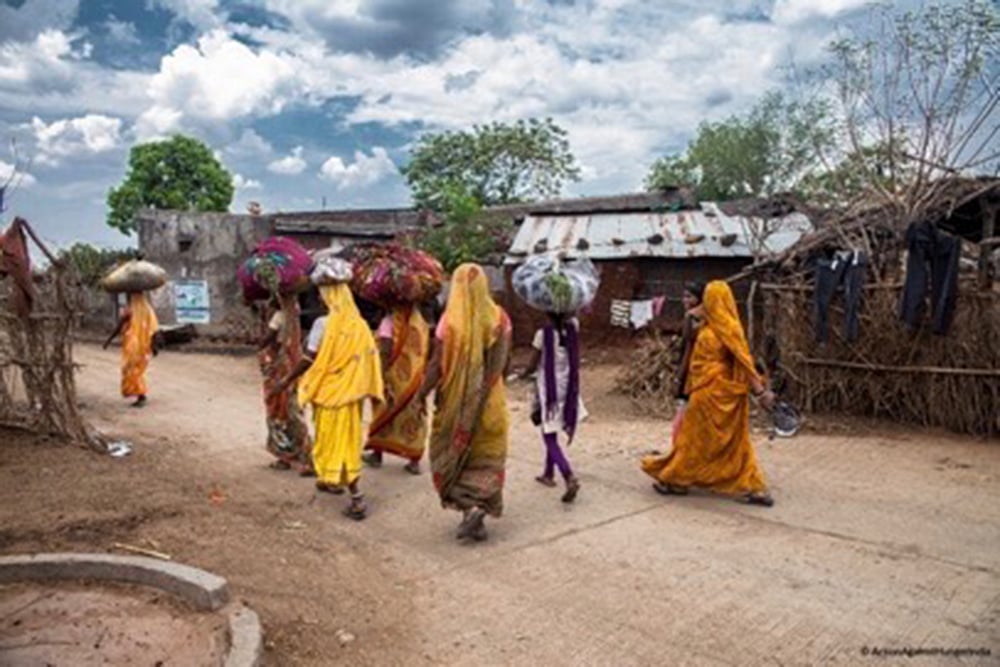 The Hidden Epidemic Of Tribal Malnutrition Among Migrants In Rajasthan And Madhya Pradesh