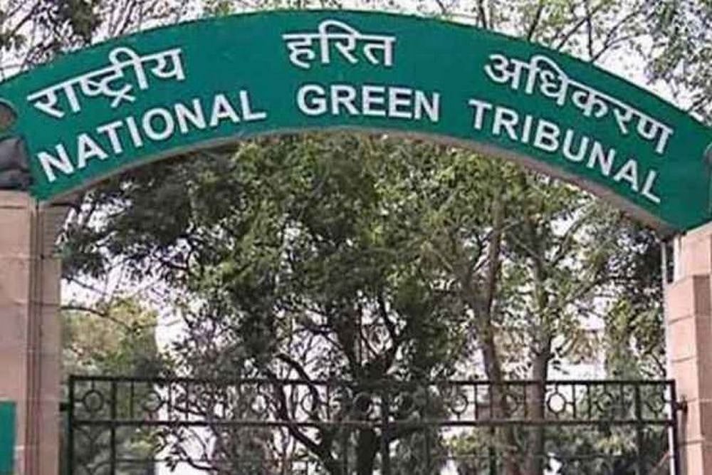 File Image : National Green Tribunal 
