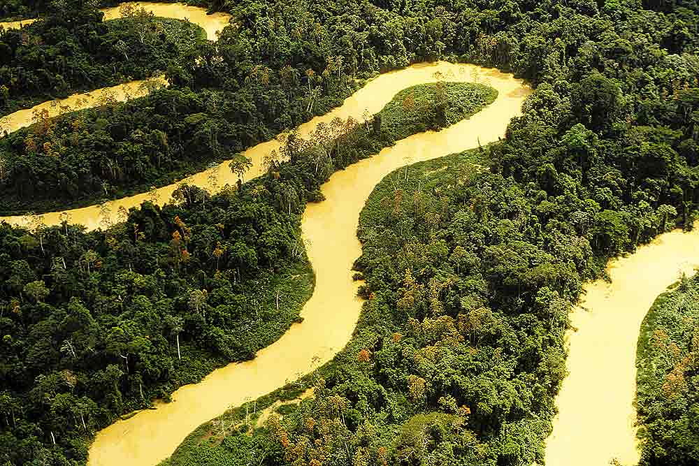 Biodiversity