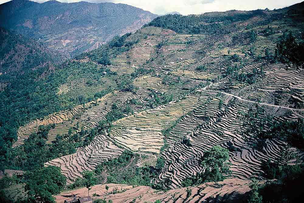 Habitat, Loss Of