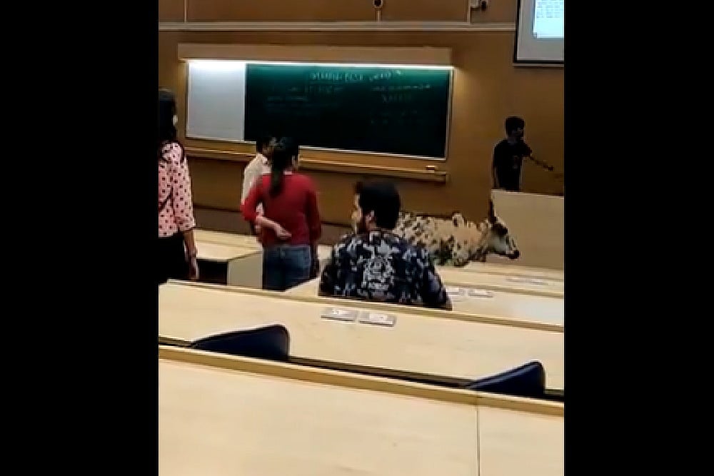 Watch: Stray Cow Walks Into Classroom At IIT Bombay
