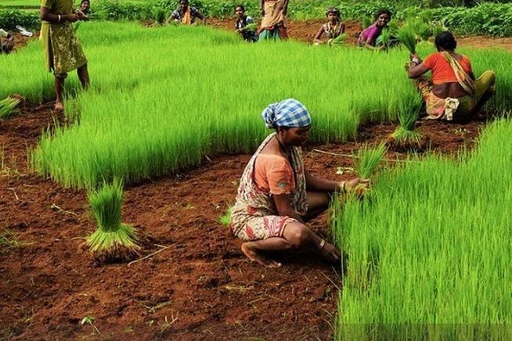 Tamil Nadu Minister presented the agriculture budget for 2024-25 in the Assembly 
