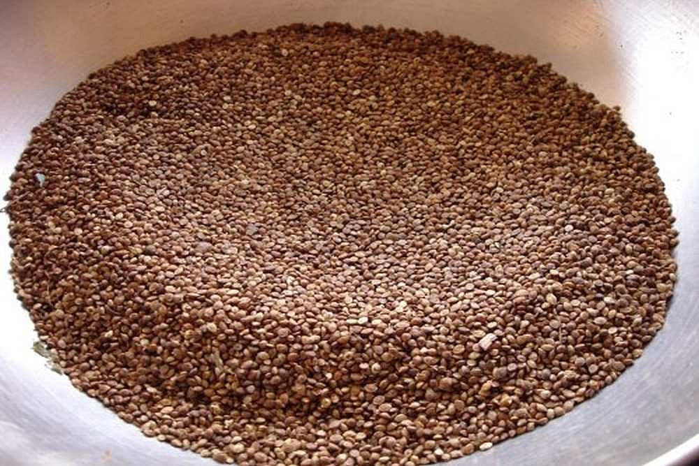Nutrition Tips For You | Millets For Weight Loss – Barnyard Millet And Kodo Millet