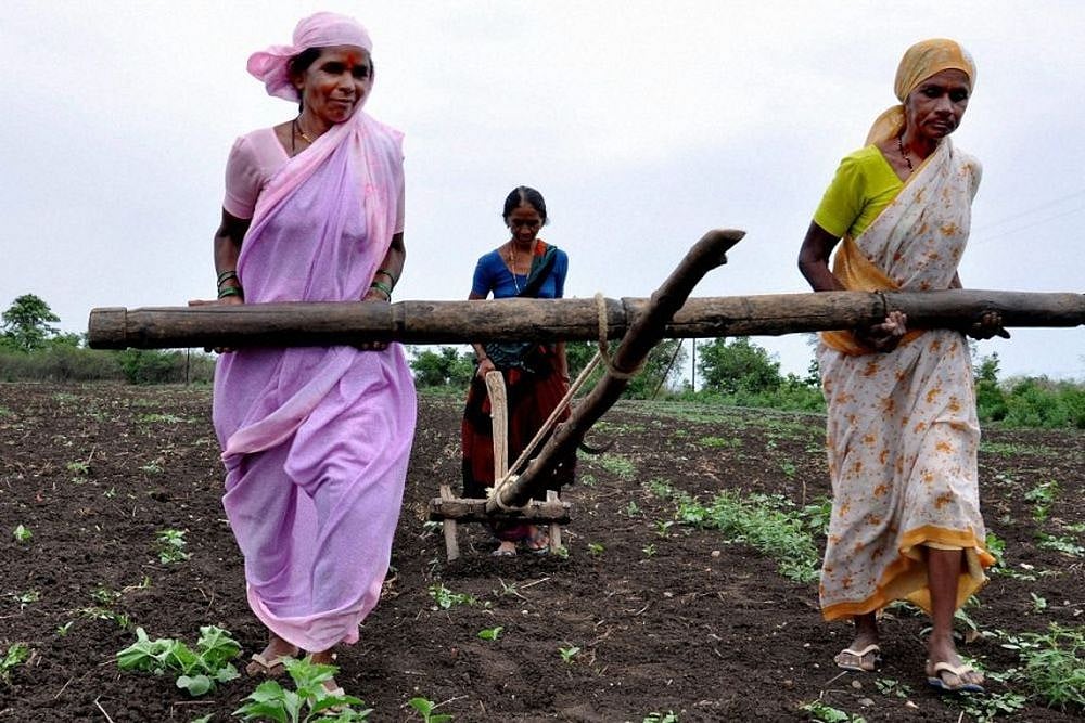 Budget 2019: Focus On Agriculture Sector A Welcome Move, But Better Implementation Required