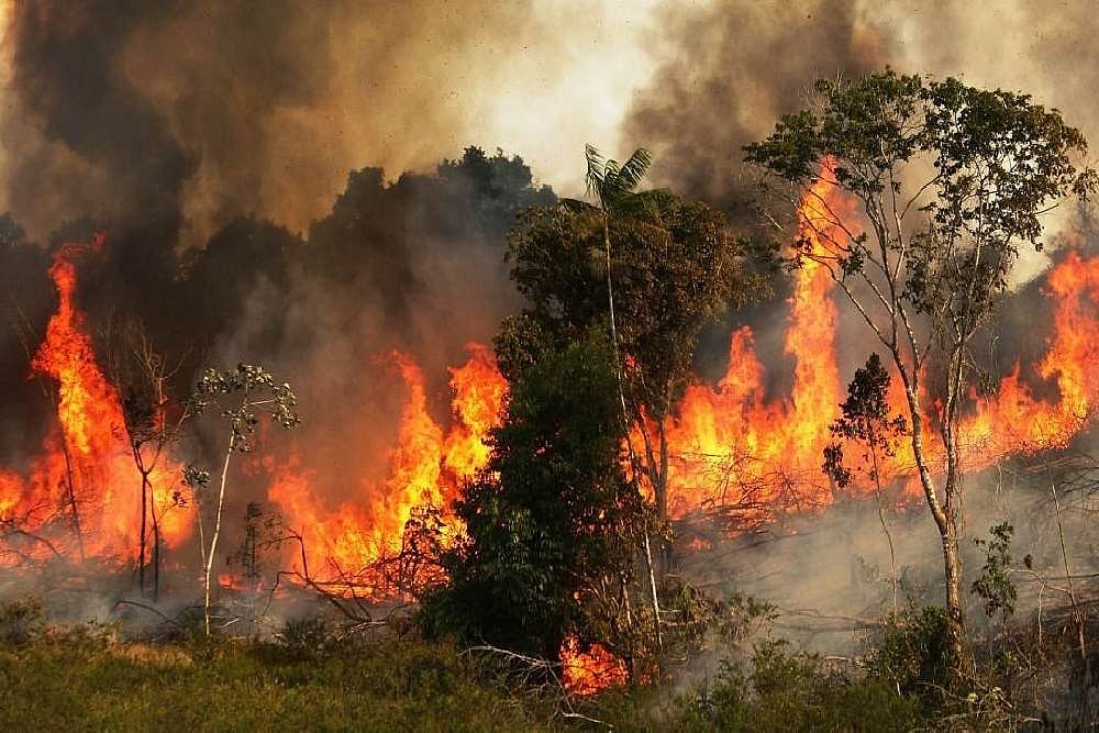 Brazilian President Says Proposal To Discuss Amazon Fires At G7 Sans Brazil Reeks Of Colonial Mindset