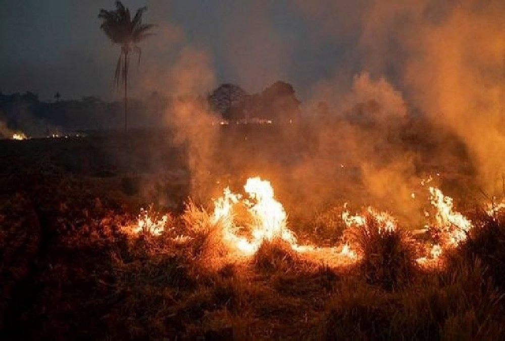 Flames rip through parts of Odisha reserve, efforts underway to tackle situation