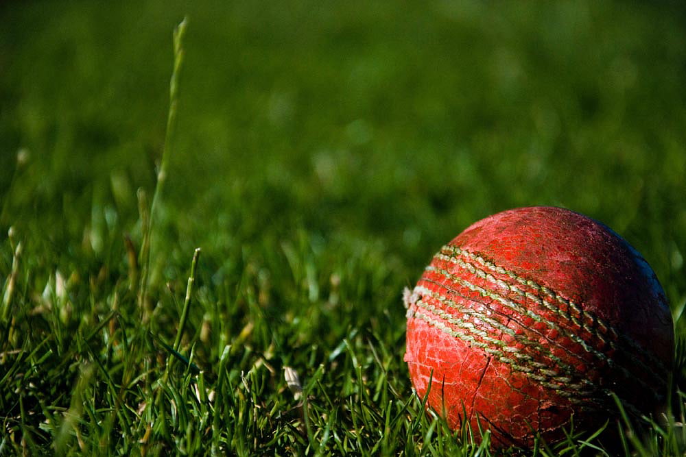 Tamil Nadu Premier League Owners Want Better Revenue Model, Quality Umpires For Next Edition