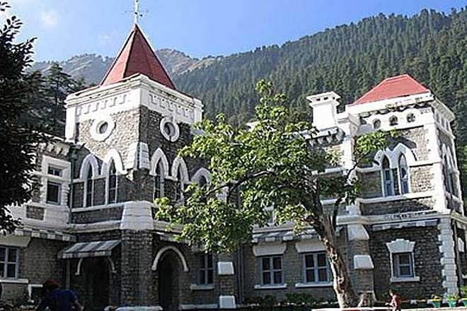 Uttarakhand High Court Seeks Details Of Police Horse Shaktiman Assault Case