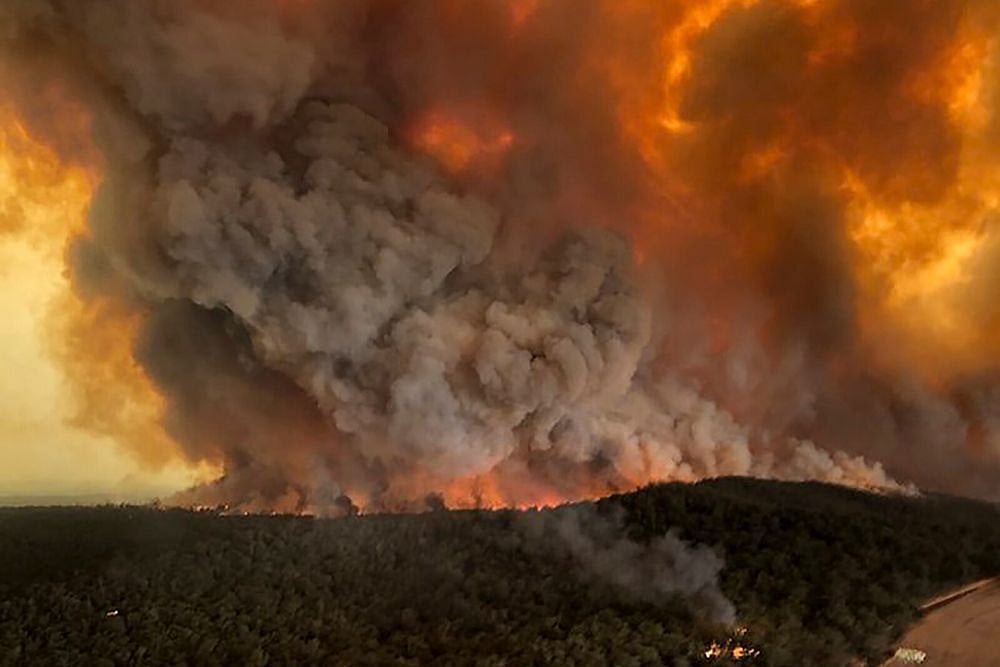 Australia Declares State of Emergency, Orders Evacuation of Residents, Tourists From Bushfire Zones