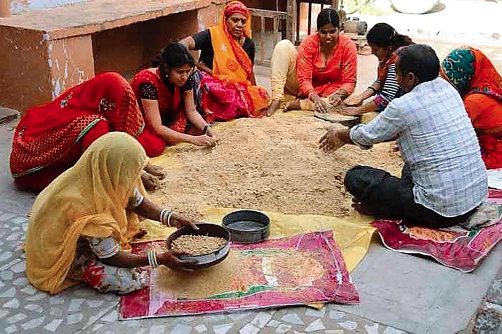 Nutrition Warriors | From Theory To Practical, Monalisa Padhee's Passage To Women's Wellness