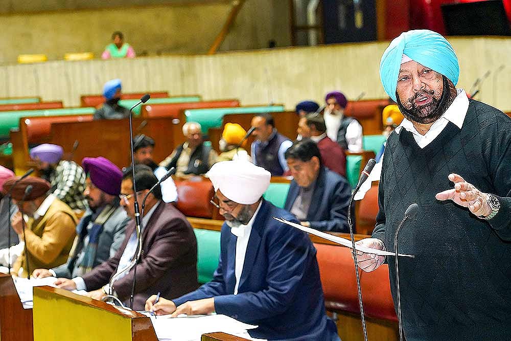 Punjab CM Approves Wheat Seed Subsidy Policy