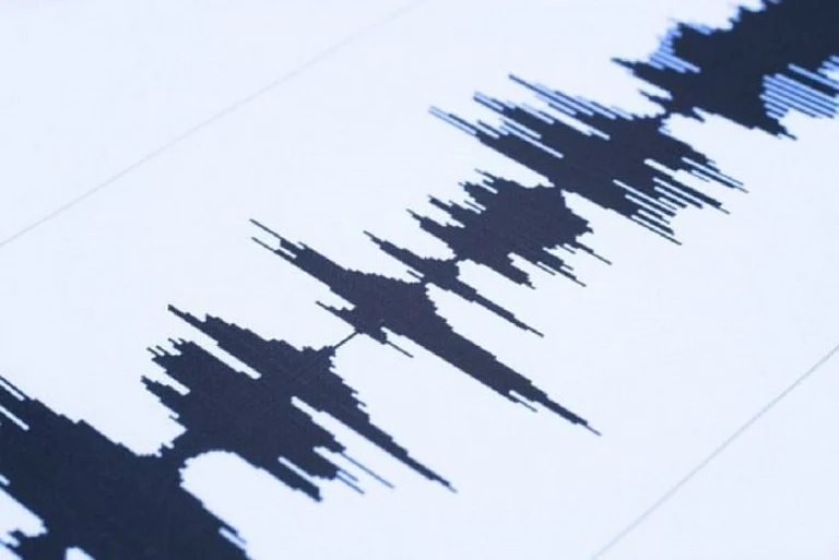The shaking was felt widely, particularly in coastal and central areas, though no tsunami warning was issued. - File photo