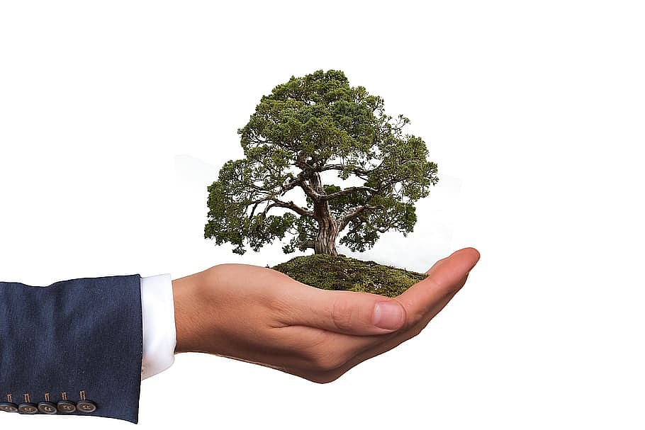 Note To Companies: Get Eco-Friendly, Or Prepare To Fold