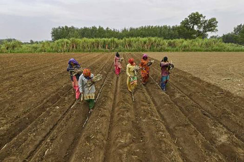 Amidst Farmers’ Stir, PM Kisan Scheme Completes Two Years