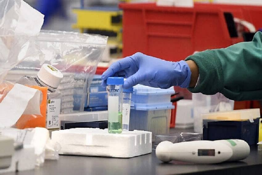 Scientists Reveal How Coronavirus Hijacks, Damages Lung Cells