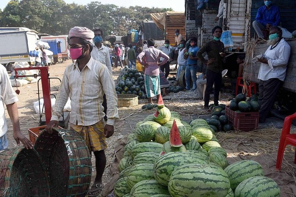 MSP Explainer: What Are The Farmers' Fears? Why Isn't The Government Bending?