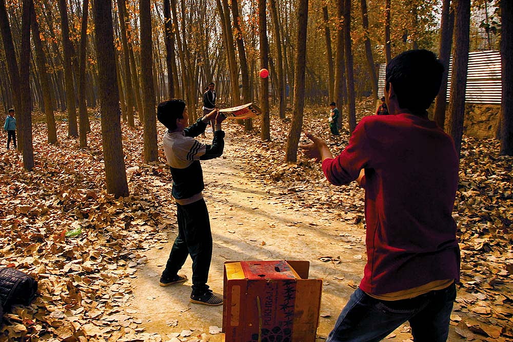 Weeping Willow: Why Kashmir's Bat-Making Industry Has Been Hit For A Six