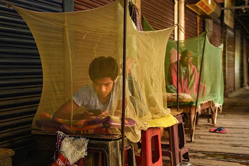 Assam: Japanese Encephalitis Claims 85 Lives In 2 Months