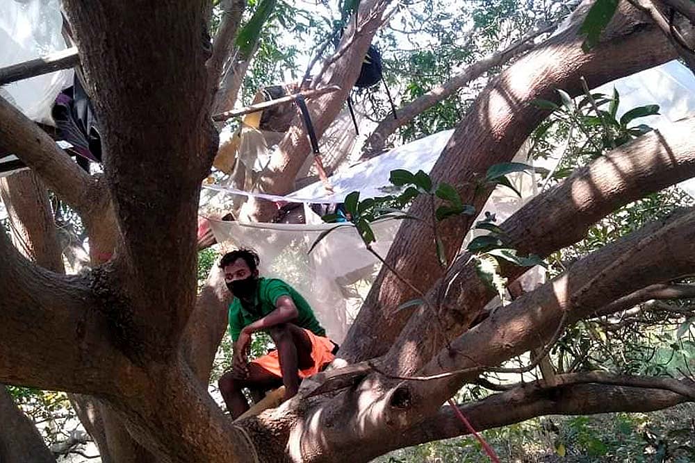 Bizarre Ways Of Sanitising Migrants: Spraying Bleach, Sleeping On Banyan Trees!