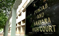 File Photo; Representative image : Punjab and Haryana High Court