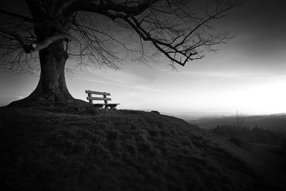 Poetics Of Solitude, Songs Of Silence