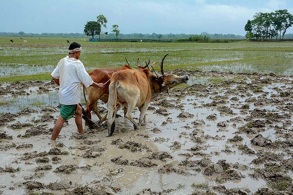 File Photo : Hike in milk prices, highway toll|