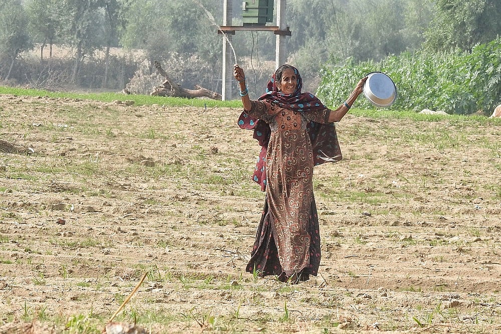 From Beating ‘Thalis’ To Revving Tractors: Farmers Try Innovative Ways To Keep Locusts Away