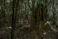 Movie Review: Can Neither Stay Here, Nor Journey Beyond Shows How Caste Traps The Human Soul Movie Review: Can Neither Stay Here, Nor Journey Beyond Shows How Caste Traps The Human Soul