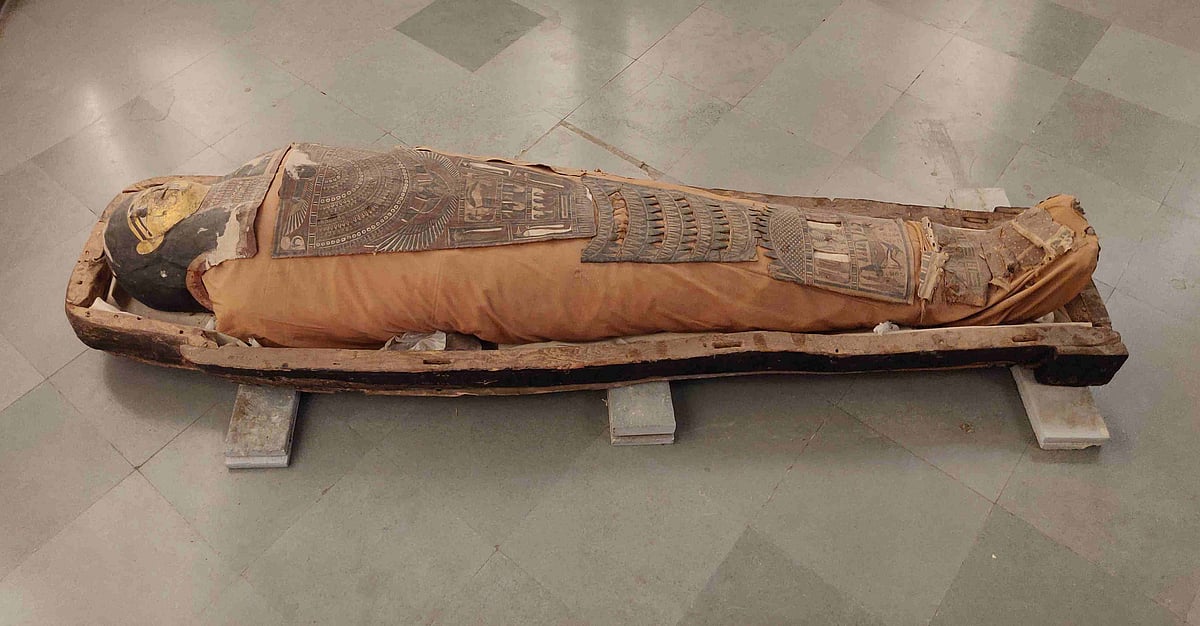 2300-year-old Mummy Saved From Damage As Rainwater Enters Jaipur’s Albert Hall Museum