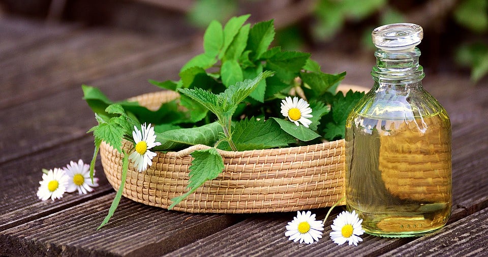 Some Allopathic And Herbal Immunity Boosters