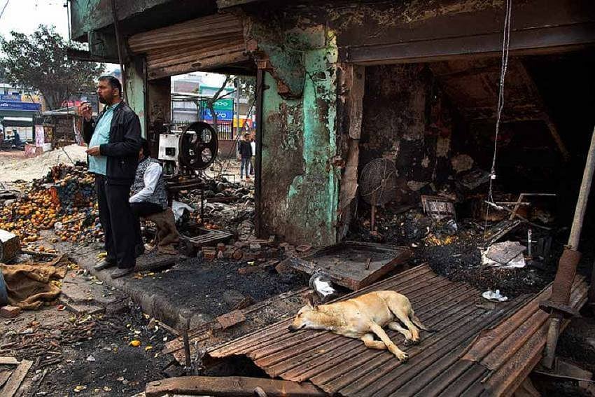 Delhi Riots 2020: HC Seeks Police Stand On Bail Plea By Shifa-ur-Rehman