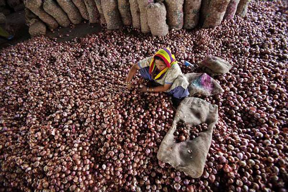 Onion To Bring Tears, Prices Set To Spike Over Poor Production