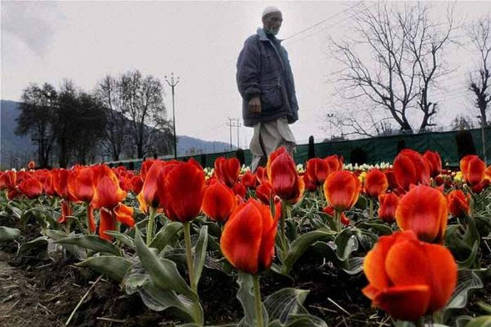 Earthquake Of 4.5 Magnitude Hits Jammu And Kashmir