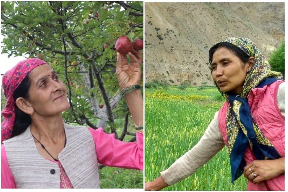 How Women In Himachal Are Growing Healthier Crops Using 'Zero Budget' Farming Techniques
