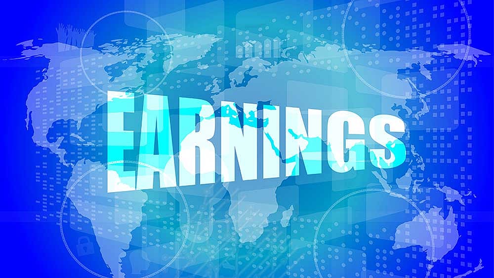 Q2 Results: Nykaa Posts Net Profit Of Rs 1.2 Crore, MaxVIL Reports Rs 12.06 Crore Net Profit