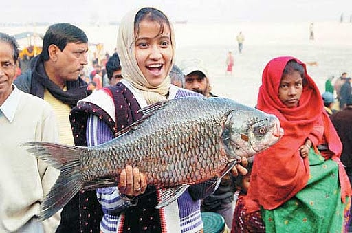 First Fisheries Incubator Launched To Help Aqua-Preneurs