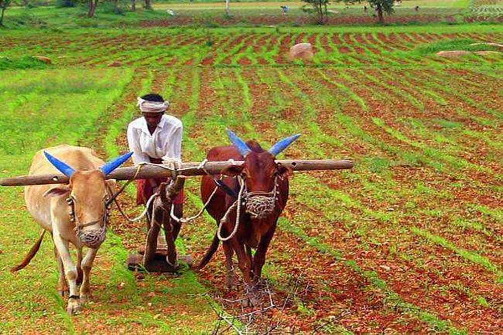 Farm Laws Repealed. Here Is Why Small Businesses In Agri Sector Were Worried
