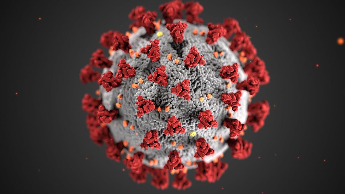 What Is Omicron: All You Need To Know About The New Coronavirus Strain