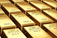 Millennials And HNIs Take A Shine To Digital Gold Millennials And HNIs Take A Shine To Digital Gold