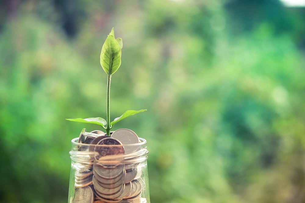 Markets Take Big Leaps In 2021: Best Returns On IPOs and NFOs
