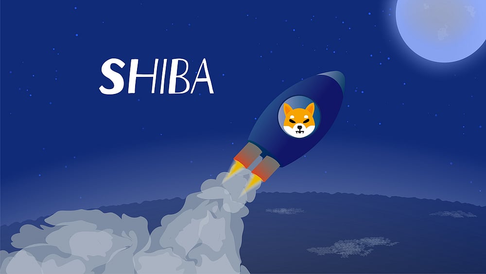 Shiba Inu Burn At Christmas Party Removes 1.14 Billion Coins